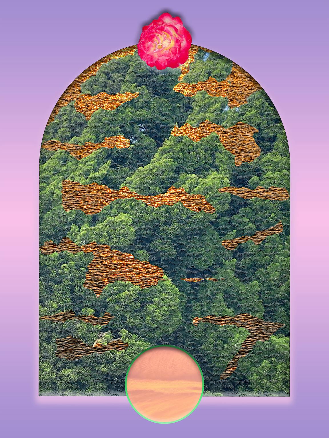 An illustrated forest on a purple gradient background.